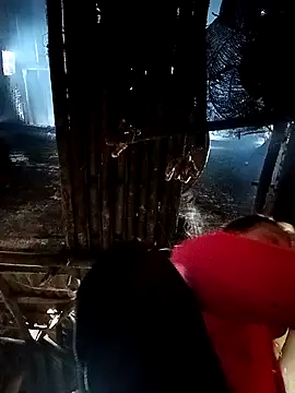 Sing2k online show from January 2026 02:51:02 AM