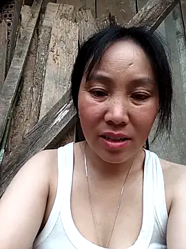 vesla-2k online show from March 2026 10:28:01 AM