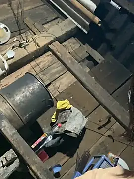 Some-03 online show from January 2026 11:14:02 AM