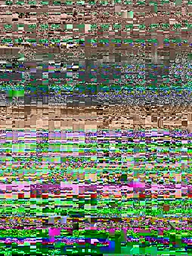 Some-03 online show from February 2026 01:40:01 PM