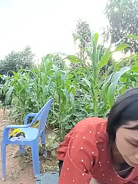 xiaogoal online show from July 2026 11:39:01 AM