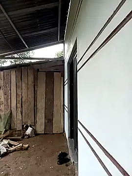 xiaogoal online show from March 2026 02:44:02 AM