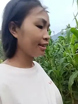 xiaogoal online show from July 2026 10:50:01 PM
