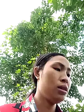 xiaogoal online show from July 2026 02:34:02 AM