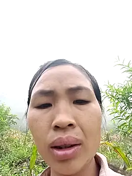 xiaogoal online show from July 2026 02:35:01 AM