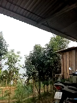 xiaogoal online show from April 2026 02:05:01 AM