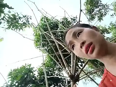 xiaogoal online show from July 2026 07:34:02 AM