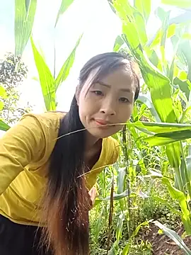 xiaogoal online show from July 2026 01:21:02 AM