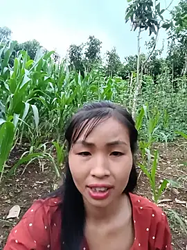 xiaogoal online show from June 2026 11:48:01 AM