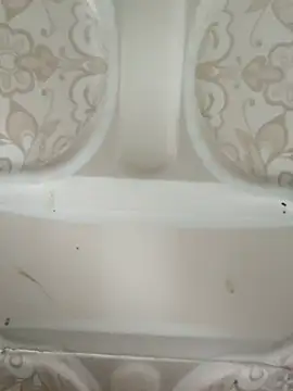 Pagelboy 089 online show from February 2026 08:44:01 AM