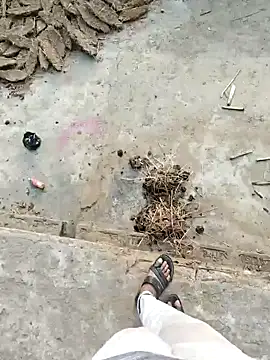 Pagelboy 089 online show from March 2026 02:28:01 AM