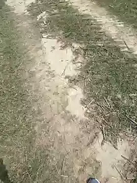 Pagelboy 089 online show from March 2026 08:22:01 AM