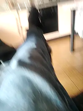 Snapshot of Sweet_Daddy_John chatting on March 2026 11:39:02 AM Sweet Daddy John online show from March 2026 11:39:02 AM