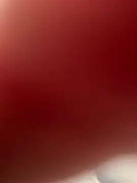 Dhediboy online show from March 2026 02:07:01 PM