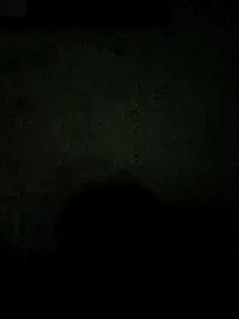 paladito01 online show from March 2026 04:45:01 AM