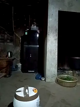 vanvan005 online show from March 2026 01:08:02 PM