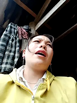 vanvan005 online show from January 2026 06:06:01 AM