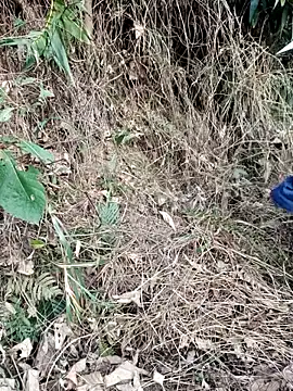 vanvan005 online show from March 2026 10:28:02 AM