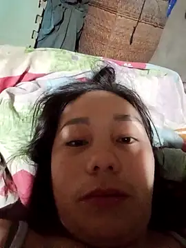 vanvan005 online show from January 2026 11:31:02 PM