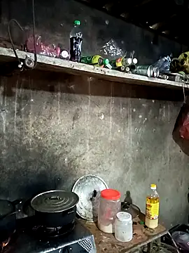 vanvan005 online show from March 2026 04:39:02 AM