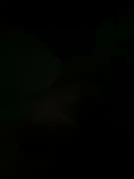 Snapshot of biggmine chatting on August 2026 03:55:02 AM biggmine online show from August 2026 03:55:02 AM