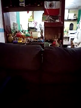 carlatransyjessi online show from February 2026 11:45:02 AM