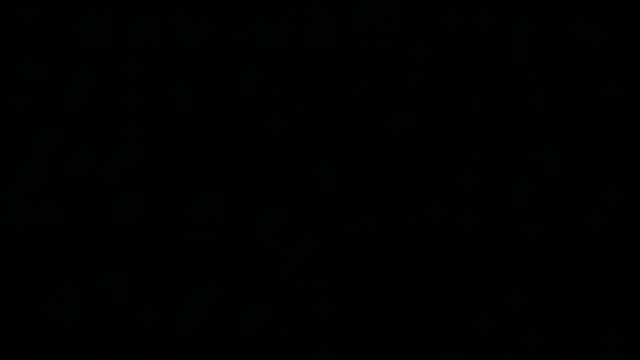 Snapshot of SattivvaXXX chatting on May 2026 12:12:01 PM SattivvaXXX online show from May 2026 12:12:01 PM
