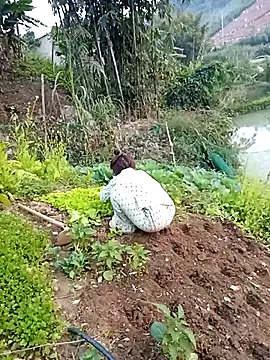 Happy sweet1 online show from January 2026 10:22:02 AM