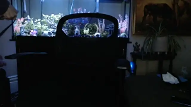 EspanolVato online show from March 2026 11:43:02 PM