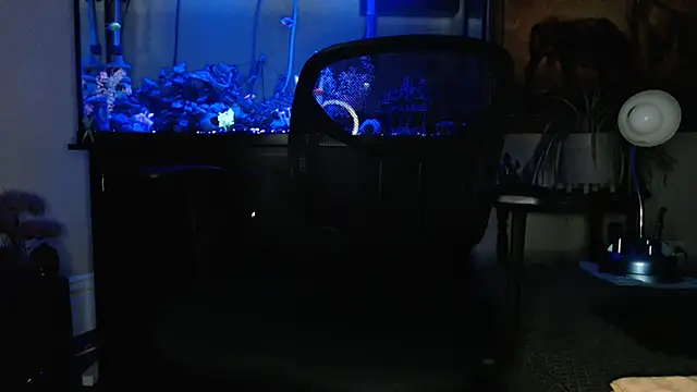 EspanolVato online show from March 2026 09:20:01 AM