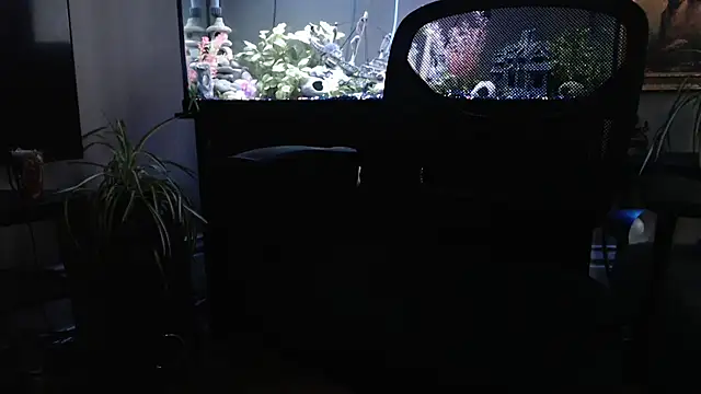 EspanolVato online show from March 2026 11:41:01 PM