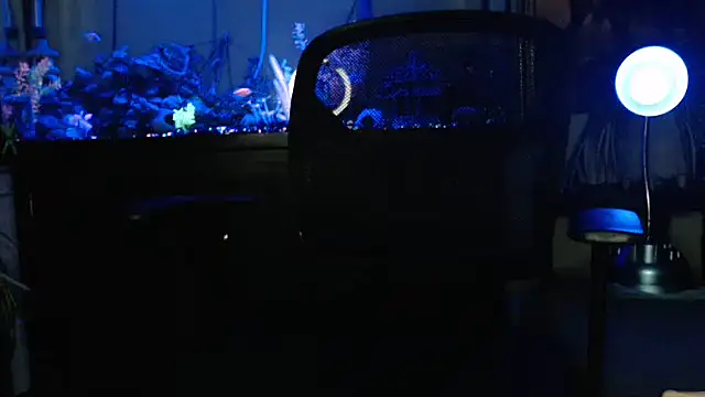 EspanolVato online show from March 2026 09:09:02 AM