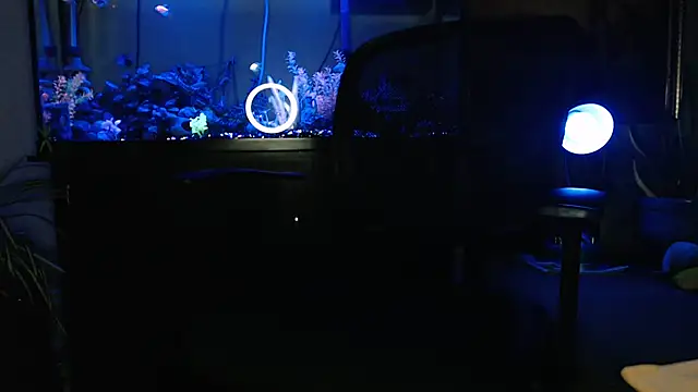 EspanolVato online show from March 2026 09:11:01 AM