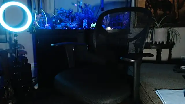 EspanolVato online show from February 2026 09:44:02 AM