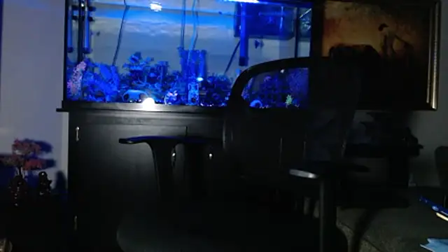 EspanolVato online show from January 2026 12:55:02 PM