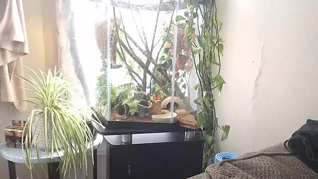 EspanolVato online show from April 2026 07:58:02 PM