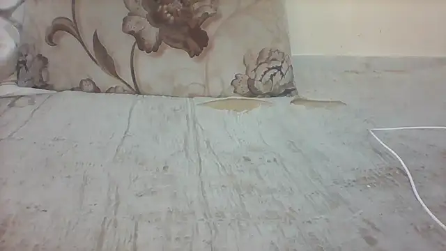 lebogangkat online show from February 2026 05:29:02 AM