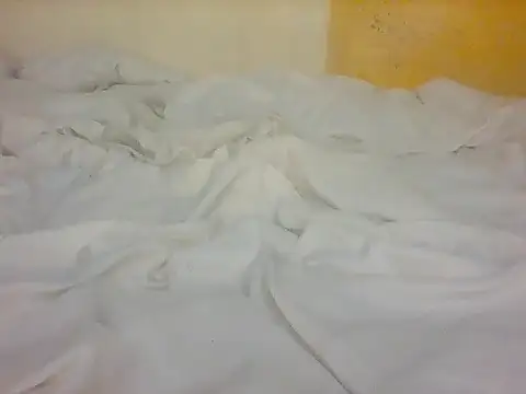 lebogangkat online show from February 2026 08:58:02 AM