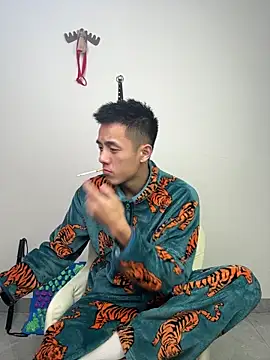 TOYOTA-01 online show from February 2026 04:51:01 PM