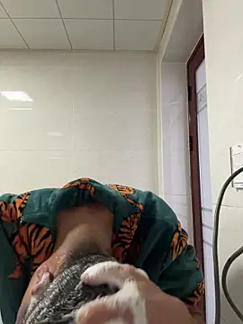 TOYOTA-01 online show from February 2026 07:27:02 AM