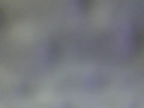 Minico25 online show from March 2026 02:46:01 AM