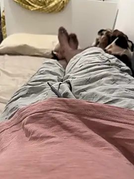 pink tip Dick online show from February 2026 12:08:01 AM