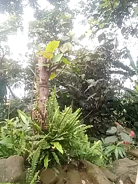 him220 online show from April 2026 10:22:02 AM