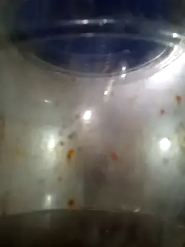 him220 online show from March 2026 02:06:01 AM