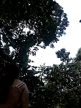 him220 online show from March 2026 06:58:01 AM