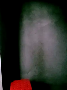 him220 online show from March 2026 01:00:02 AM