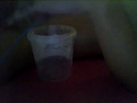 MorenaJapinha online show from January 2026 11:58:01 AM