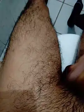 Snapshot of Haplis chatting on February 2026 08:41:02 PM Haplis online show from February 2026 08:41:02 PM