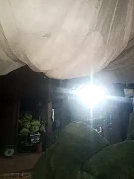 Piu 18 online show from January 2026 12:20:02 PM