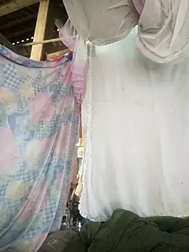 Piu 18 online show from February 2026 07:32:02 AM